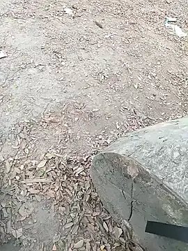 Snapshot of Dasdhon chatting on November 18, 10:20 am Dasdhon online show from November 18, 10:20 am