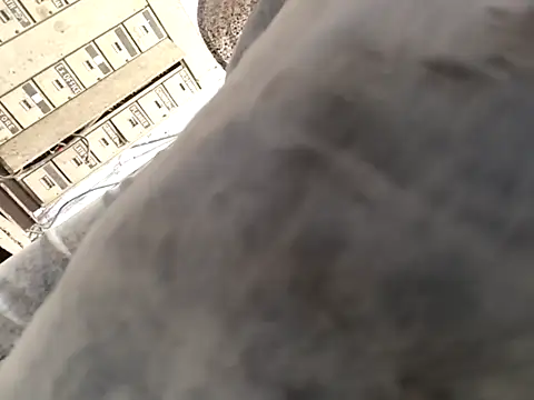 xyz-indian online show from October 1, 10:43 am