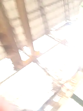 xyz-indian online show from October 11, 3:50 am