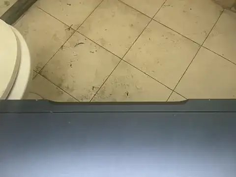 LustyDuoSecrets online show from November 3, 4:30 pm