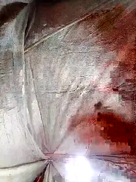 hera-00 online show from November 25, 2:28 pm