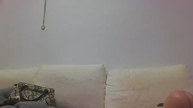 Snapshot of canariamorbosa chatting on September 11, 8:53 pm canariamorbosa online show from September 11, 8:53 pm