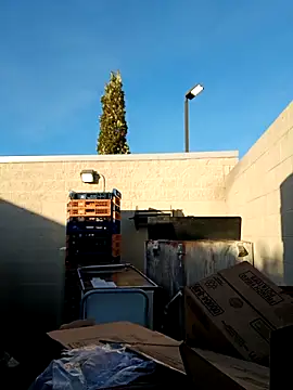 Dropdingo online show from November 11, 1:33 pm