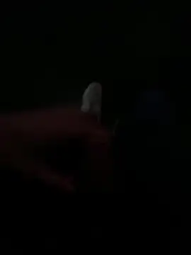 Snapshot of Luck__090 chatting on September 19, 11:16 pm Luck  090 online show from September 19, 11:16 pm