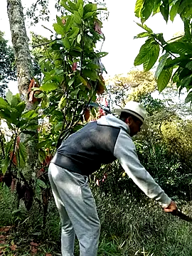 AlphaAlterX online show from February 28, 1:23 pm