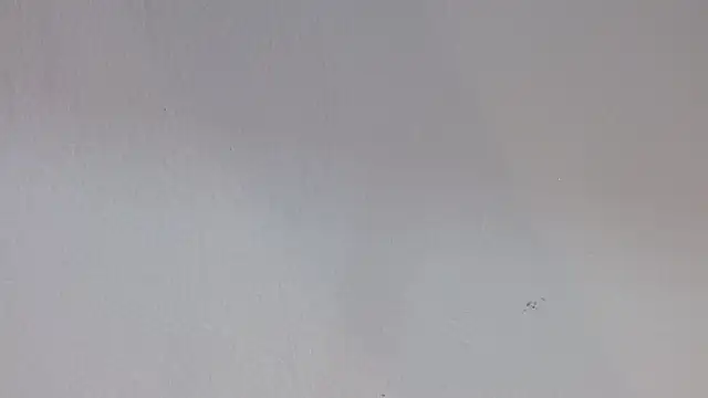 kiity horny  online show from September 30, 12:54 pm