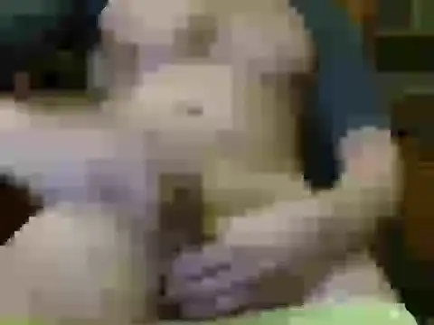 italian max sex online show from November 21, 11:25 pm