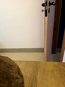 oconnnel online show from December 14, 5:40 pm