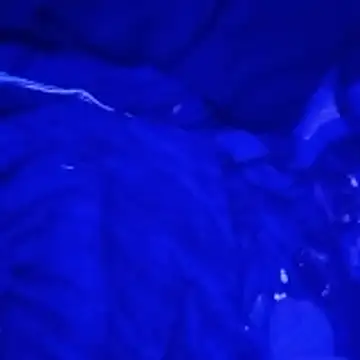 Snapshot of johnboones10 chatting on March 4, 9:15 am johnboones10 online show from March 4, 9:15 am