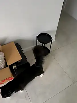 aussiepeaches online show from April 6, 1:25 am