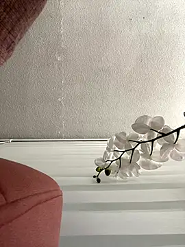 Adele Pinkk online show from November 3, 11:33 am