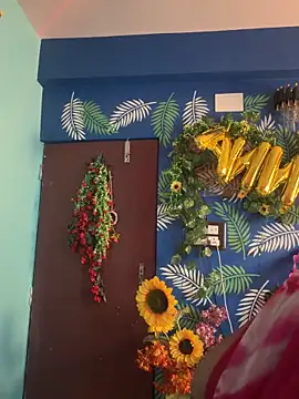 Snapshot of V-Hot-Sweti chatting on February 21, 8:04 am V-Hot-Sweti online show from February 21, 8:04 am