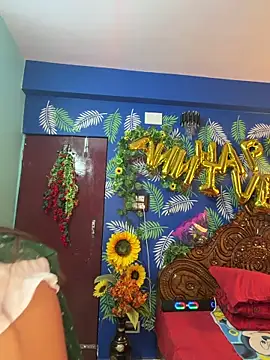 Snapshot of V-Hot-Sweti chatting on February 25, 4:05 pm V-Hot-Sweti online show from February 25, 4:05 pm