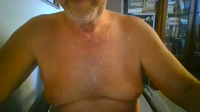hpp66 online show from June 16, 4:37 am