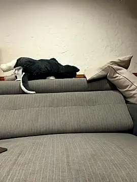 black xun online show from January 16, 2:32 pm