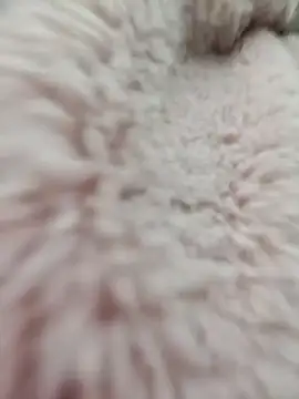 Tin tanny online show from January 15, 12:59 am