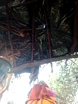 Snapshot of H_seema chatting on February 9, 1:53 am H seema online show from February 9, 1:53 am