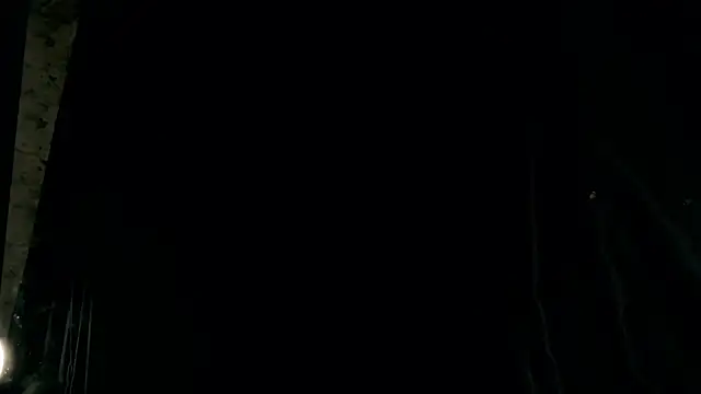 rosy petal online show from November 12, 3:23 pm