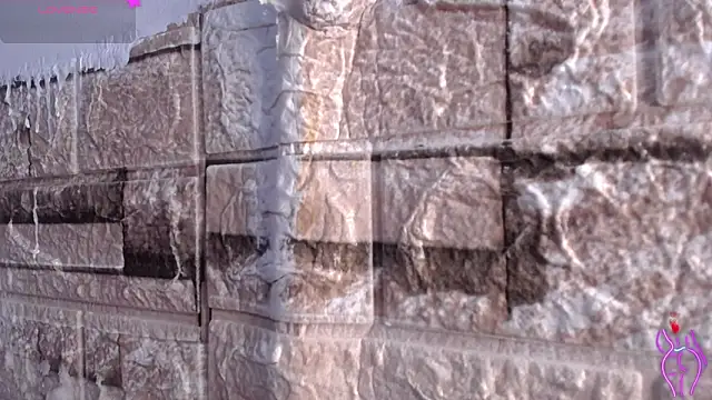 Bicky 24 online show from March 9, 8:18 am