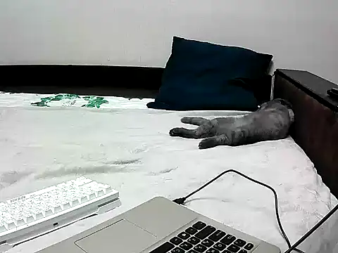 Snapshot of black_lany chatting on September 22, 2:41 pm black lany online show from September 22, 2:41 pm