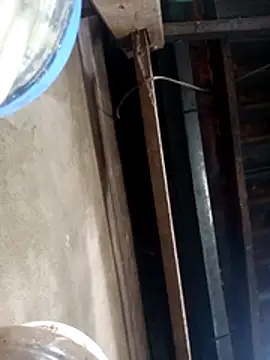 siki-00 online show from October 21, 3:40 am