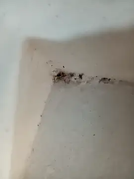 Punam jindal online show from October 7, 6:10 am