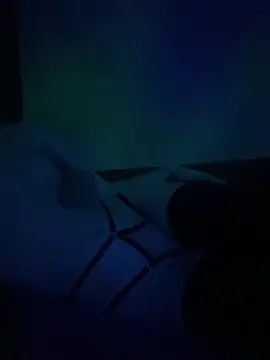 Snapshot of gjollyros chatting on February 18, 8:16 pm gjollyros online show from February 18, 8:16 pm