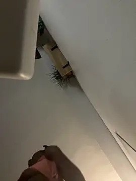 Snapshot of littyleesh1 chatting on April 14, 4:29 am littyleesh1 online show from April 14, 4:29 am