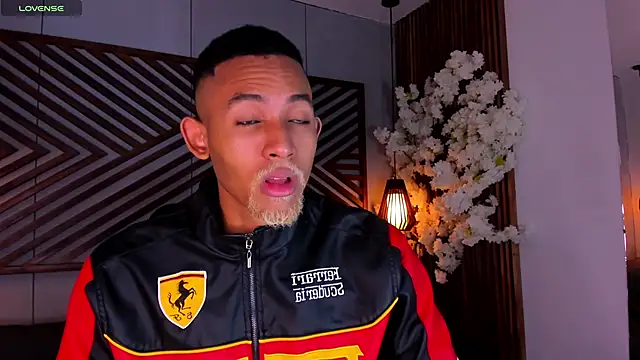 B Wild online show from November 18, 3:12 am