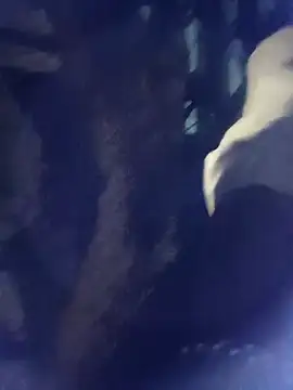 8133vaibhavh online show from October 3, 2:03 pm