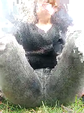 Misshot 01 online show from September 19, 7:36 pm