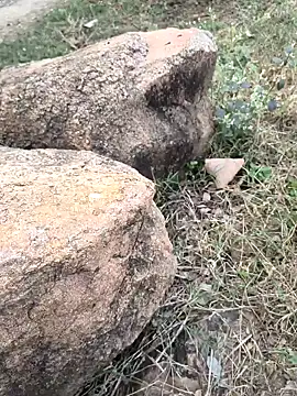 Ag punam online show from November 16, 10:43 am