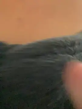 Snapshot of ___seusegredo chatting on February 4, 6:03 pm seusegredo online show from February 4, 6:03 pm