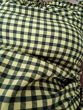 Snapshot of Heidi-i chatting on October 28, 5:33 am Heidi-i online show from October 28, 5:33 am