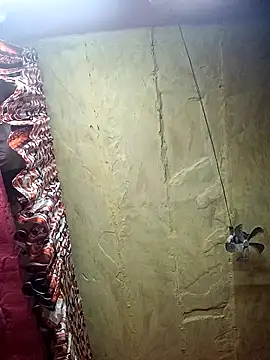 Suman ji1 online show from November 27, 9:06 pm