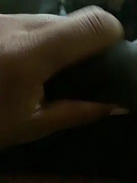 tharu-45 online show from April 17, 9:45 am