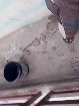 haryanaboypanipat12 online show from April 3, 12:52 am