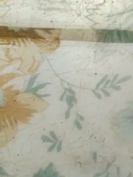 haryanaboypanipat12 online show from April 23, 1:18 am