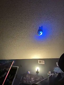 busnfatnutsLildee online show from December 1, 1:05 pm