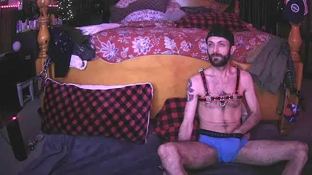 Snapshot of HarmoniousPhantasm3 chatting on November 4, 12:21 am HarmoniousPhantasm3 online show from November 4, 12:21 am