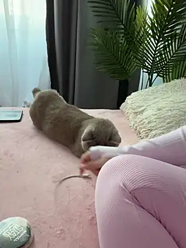 Andrestarr online show from March 14, 2:55 pm