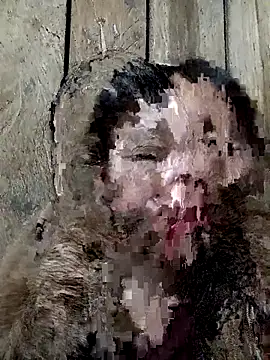 bonnie-00 online show from November 15, 11:40 am