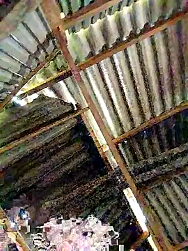 Snapshot of lyuyenkk chatting on November 3, 1:08 am lyuyenkk online show from November 3, 1:08 am