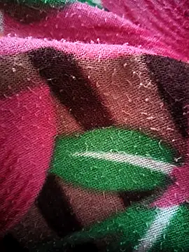 bold guy 1234 online show from October 15, 5:07 am