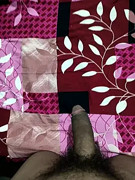 bold guy 1234 online show from October 22, 9:03 pm