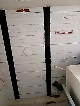 zamir adam online show from October 27, 1:26 pm