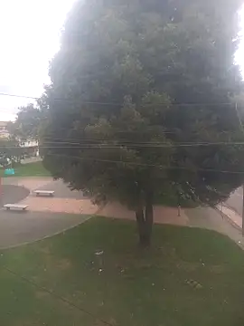 Girl luna  online show from October 3, 5:43 pm