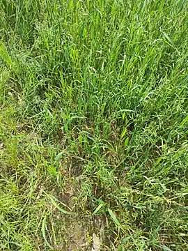 karandeep Bhagat online show from April 19, 5:07 am