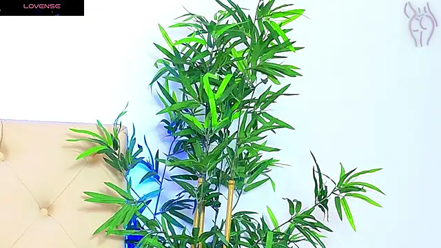 CoraVex online show from September 16, 6:03 am