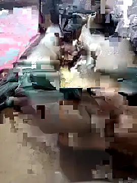 UnbowedAgronomy online show from February 14, 10:50 pm